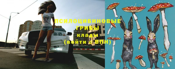 прущая мука Коряжма