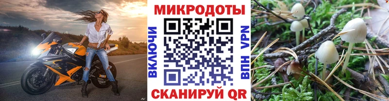 Псилоцибиновые грибы MAGIC MUSHROOMS  Новокузнецк 