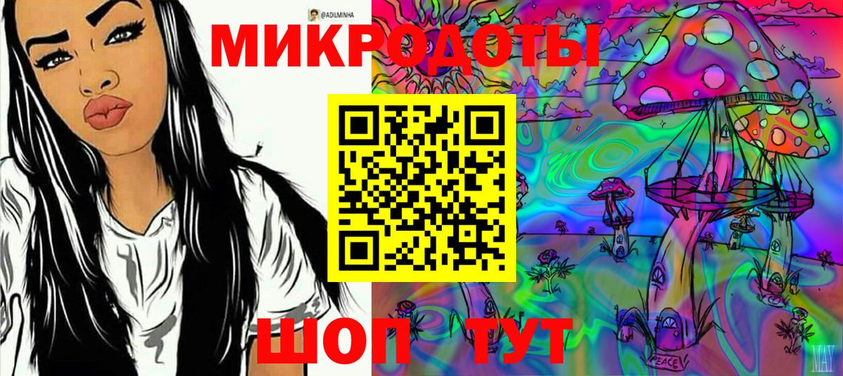 Псилоцибиновые грибы Psilocybe Новокузнецк