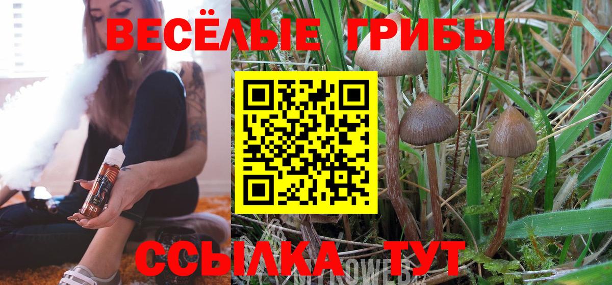 Псилоцибиновые грибы Psilocybine cubensis  где купить наркоту  Новокузнецк  Вход с VPN 